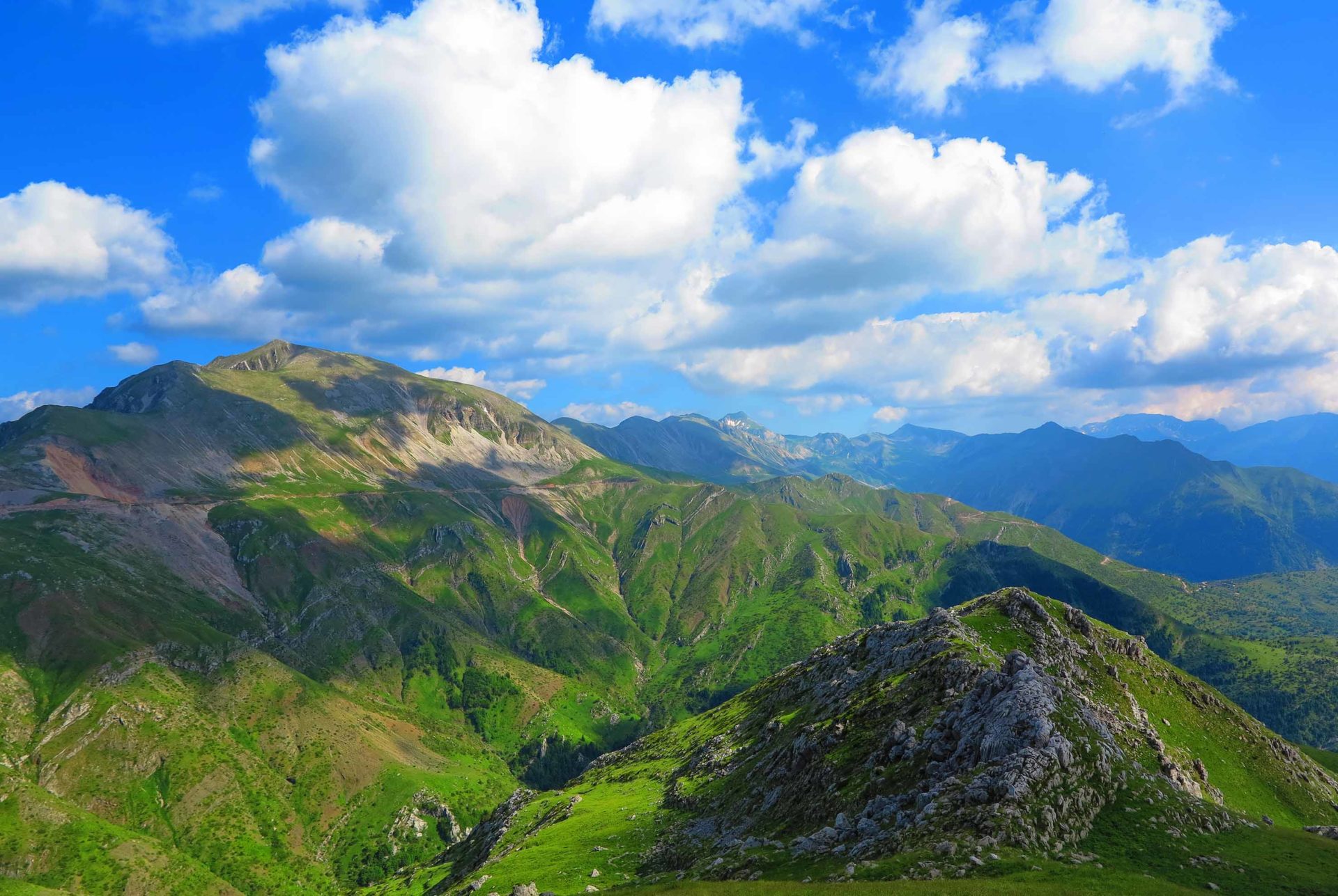 The forests of Central Pindos in the area of Metsovo