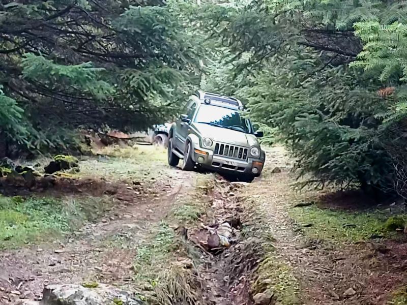 Διαδρομή SUV 4χ4 στα δάση Καστανίας και Ελάτης του Πάρνωνα για να μαθαίνουμε τα μυστικά της μανιταροσυλλογής και να δοκιμάσουμε τις μοναδικές τους γεύσεις με ασφάλεια.