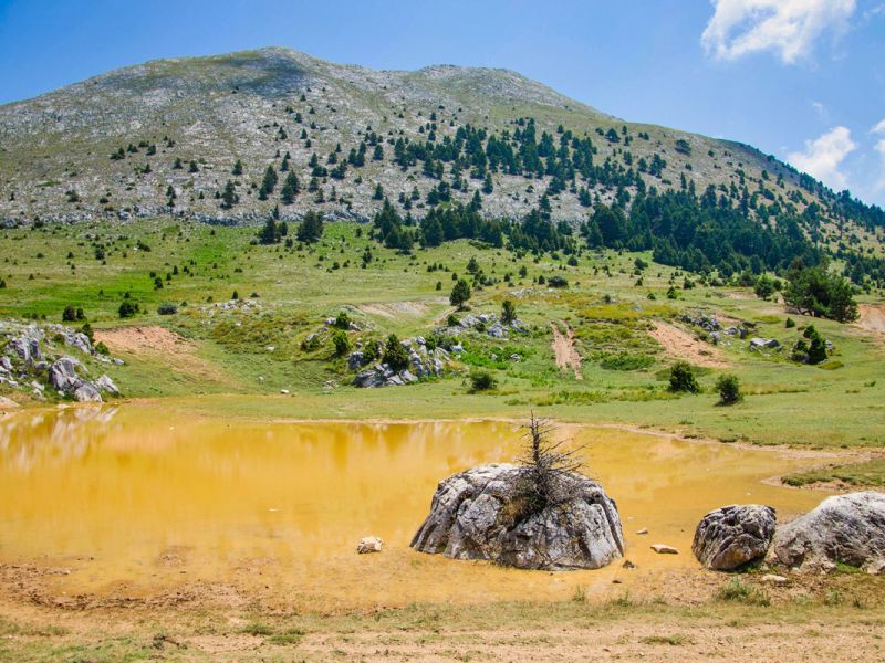 Διαδρομή SUV 4χ4 στα δάση Καστανίας και Ελάτης του Πάρνωνα για να μαθαίνουμε τα μυστικά της μανιταροσυλλογής και να δοκιμάσουμε τις μοναδικές τους γεύσεις με ασφάλεια.