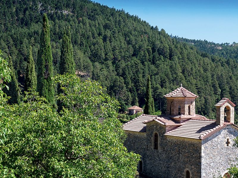 Διαδρομή SUV 4χ4 στα δάση Καστανίας και Ελάτης του Πάρνωνα για να μαθαίνουμε τα μυστικά της μανιταροσυλλογής και να δοκιμάσουμε τις μοναδικές τους γεύσεις με ασφάλεια.