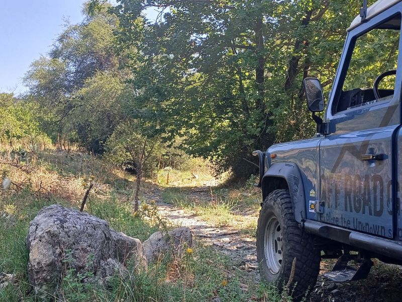 Διαδρομή SUV 4χ4 στα δάση Καστανίας και Ελάτης του Πάρνωνα για να μαθαίνουμε τα μυστικά της μανιταροσυλλογής και να δοκιμάσουμε τις μοναδικές τους γεύσεις με ασφάλεια.