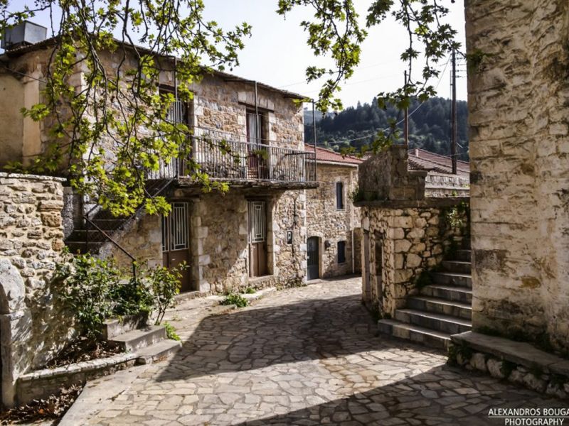 Διαδρομή SUV 4χ4 στα δάση Καστανίας και Ελάτης του Πάρνωνα για να μαθαίνουμε τα μυστικά της μανιταροσυλλογής και να δοκιμάσουμε τις μοναδικές τους γεύσεις με ασφάλεια.