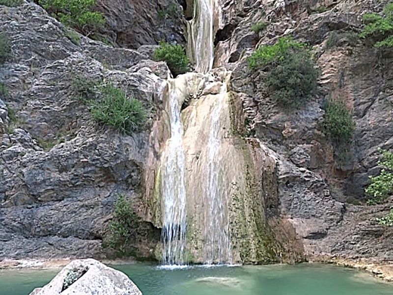 Διαδρομή SUV 4χ4 στα δάση Καστανίας και Ελάτης του Πάρνωνα για να μαθαίνουμε τα μυστικά της μανιταροσυλλογής και να δοκιμάσουμε τις μοναδικές τους γεύσεις με ασφάλεια.