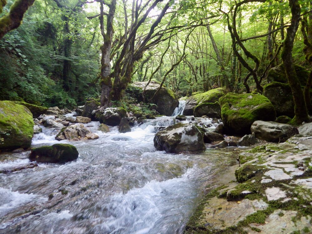 OFF-ROAD 4X4 ΣΤΑ ΕΠΙΒΛΗΤΙΚΑ ΒΟΥΝΑ ΜΕ ΤΙΣ ΕΝΤΥΠΩΣΙΑΚΕΣ ΚΟΡΥΦΕΣ ΣΤΑ ΔΥΤΙΚΑ ΤΗΣ ΚΕΝΤΡΙΚΗ ΠΙΝΔΟΥ