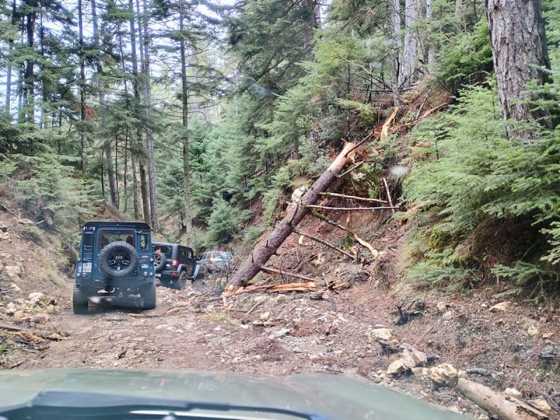 Διαδρομή SUV 4χ4 στα δάση Καστανίας και Ελάτης του Πάρνωνα για να μαθαίνουμε τα μυστικά της μανιταροσυλλογής και να δοκιμάσουμε τις μοναδικές τους γεύσεις με ασφάλεια.