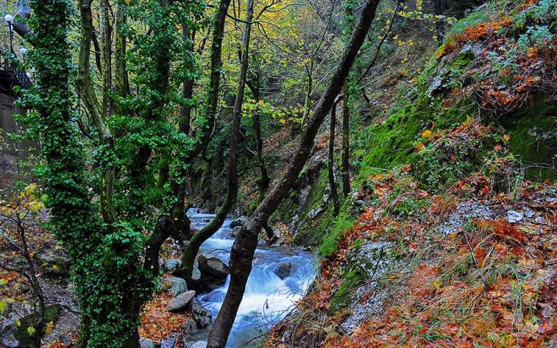 Evia highest mountain, Dirfis