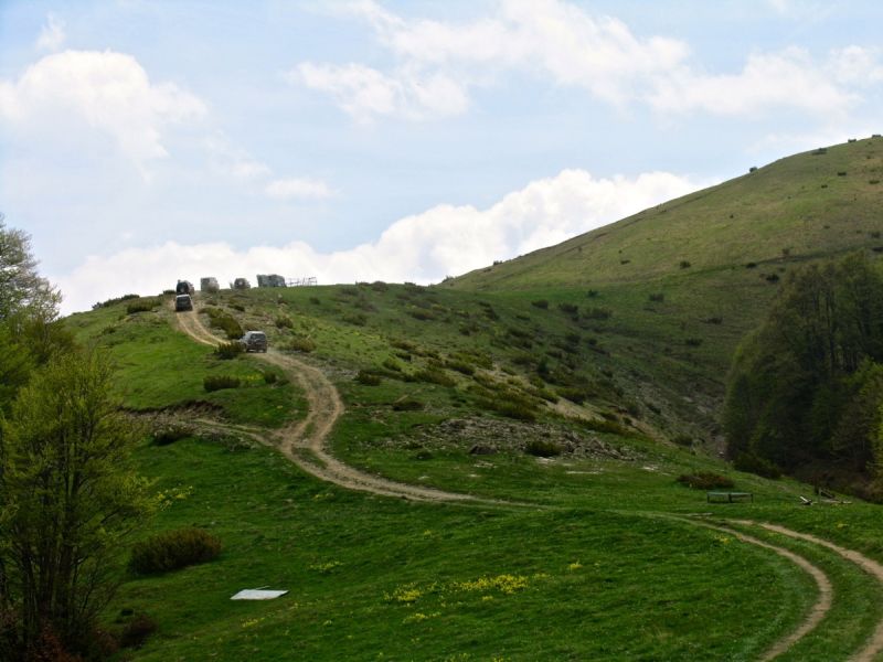 The aesthetic forest of Rona and the mansions of Metsovo