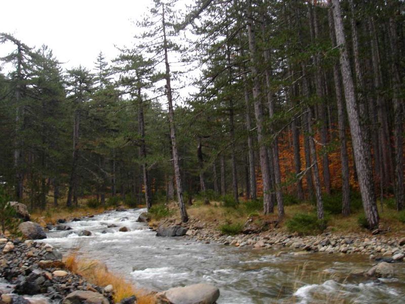 Zagorohoria  In the heart of the National Park of Valia Kalda