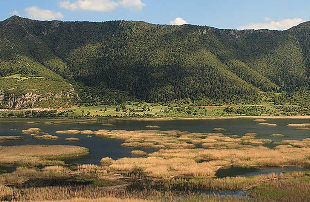 Stymphalia lake in Corinthia